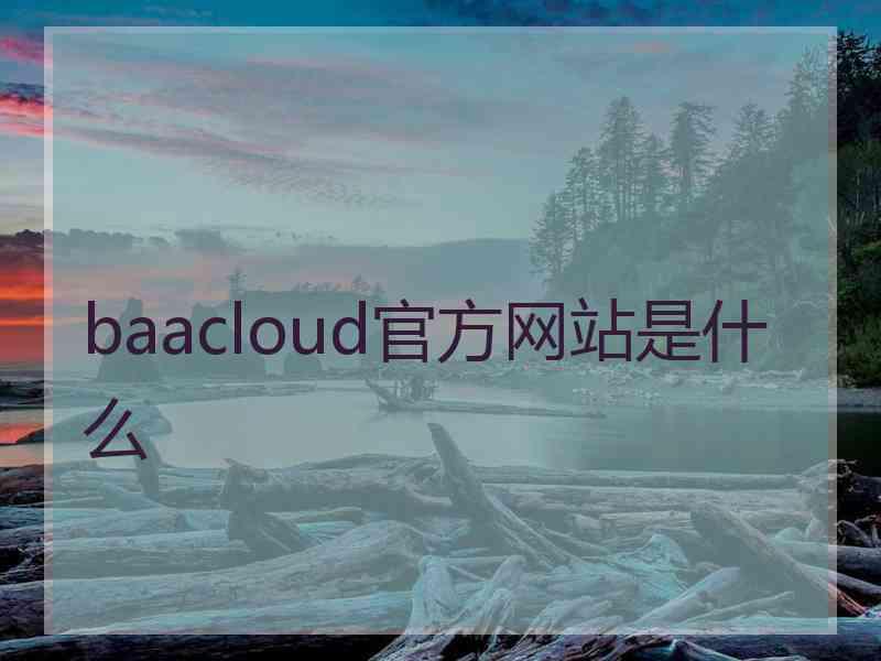 baacloud官方网站是什么