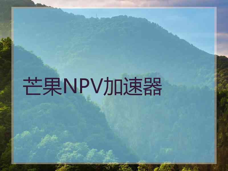 芒果NPV加速器