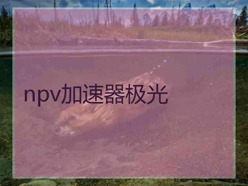 npv加速器极光