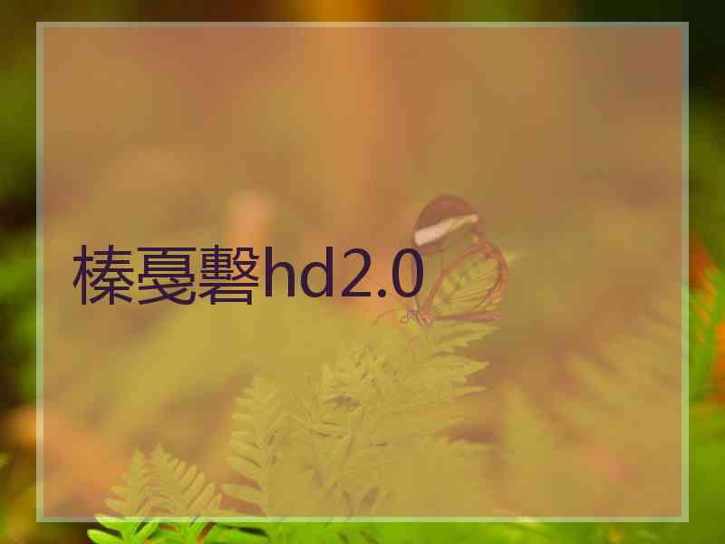 榛戞礊hd2.0