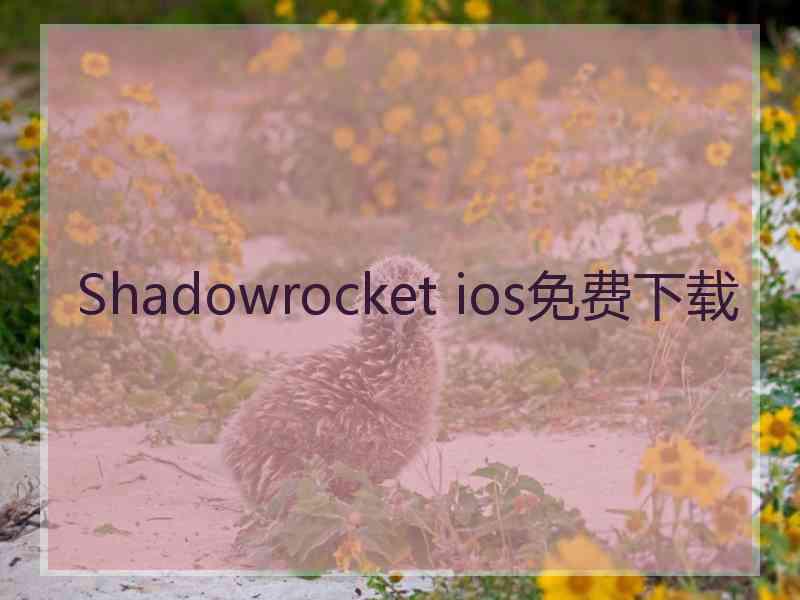 Shadowrocket ios免费下载