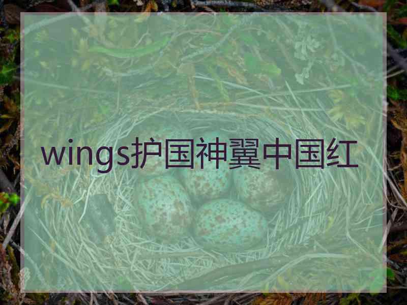 wings护国神翼中国红