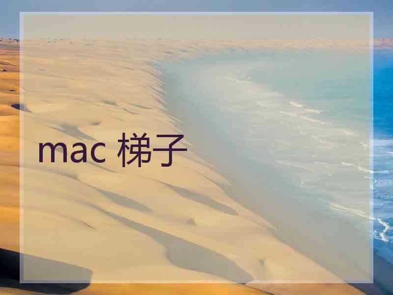 mac 梯子