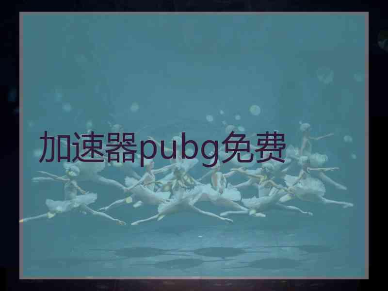 加速器pubg免费