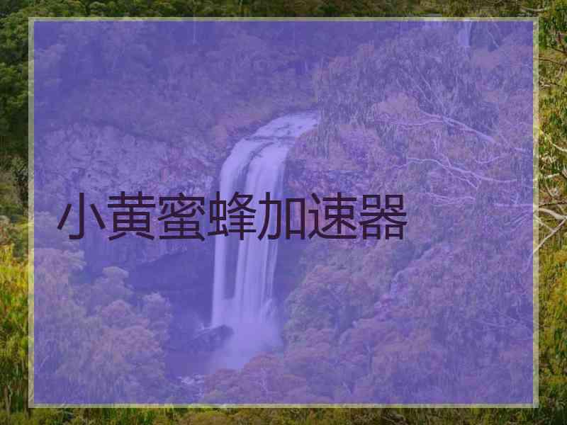 小黄蜜蜂加速器