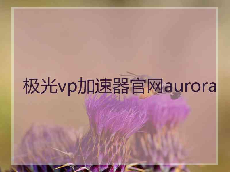 极光vp加速器官网aurora