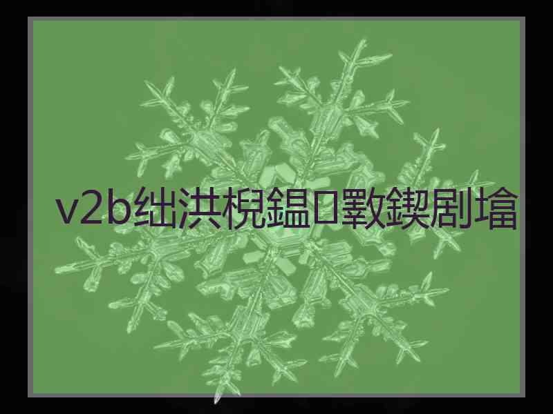 v2b绌洪棿鎾斁鍥剧墖