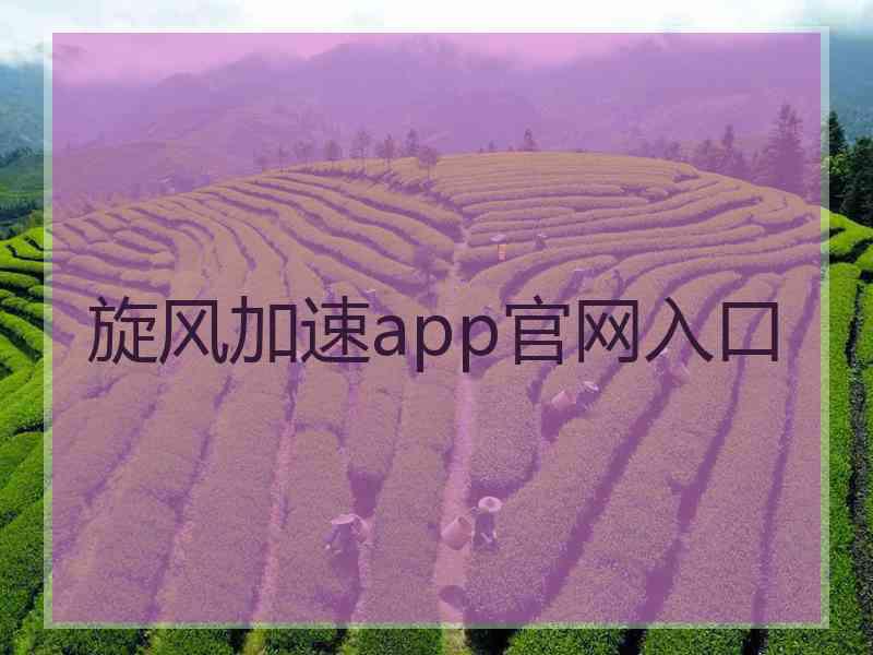 旋风加速app官网入口