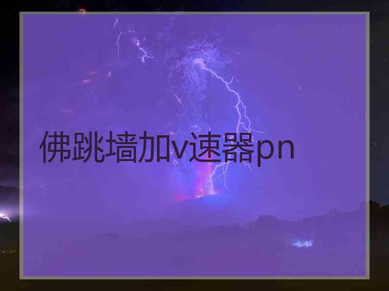 佛跳墙加v速器pn