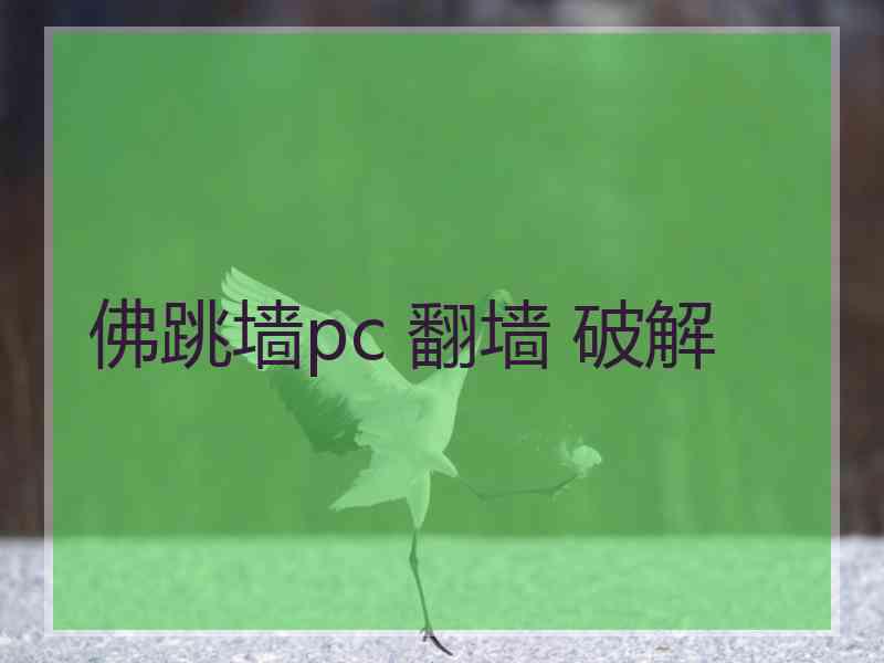 佛跳墙pc 翻墙 破解