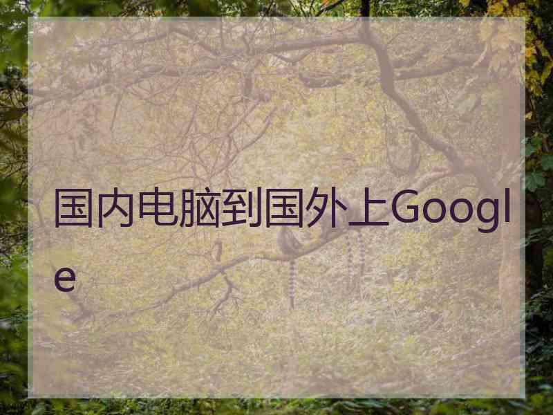 国内电脑到国外上Google