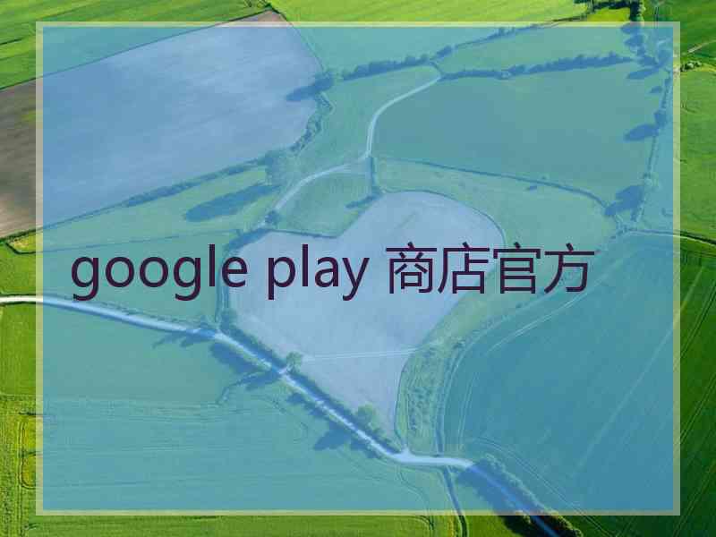 google play 商店官方