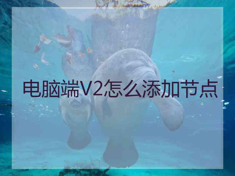 电脑端V2怎么添加节点