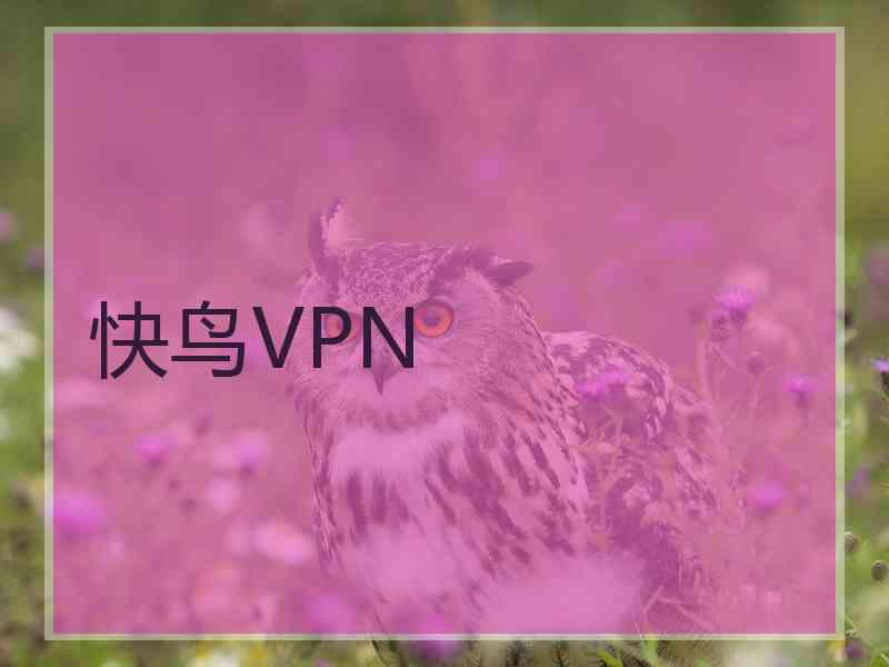 快鸟VPN