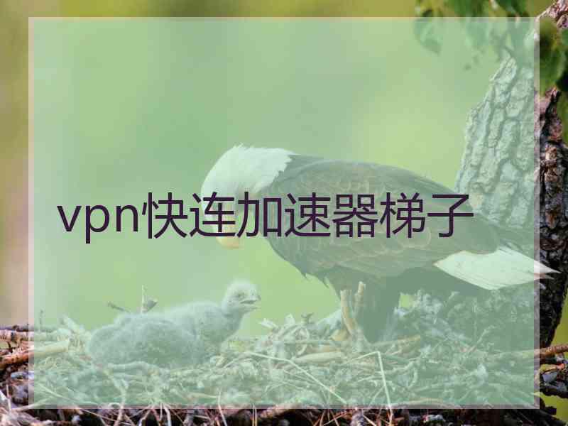 vpn快连加速器梯子