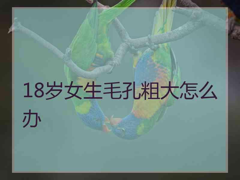 18岁女生毛孔粗大怎么办