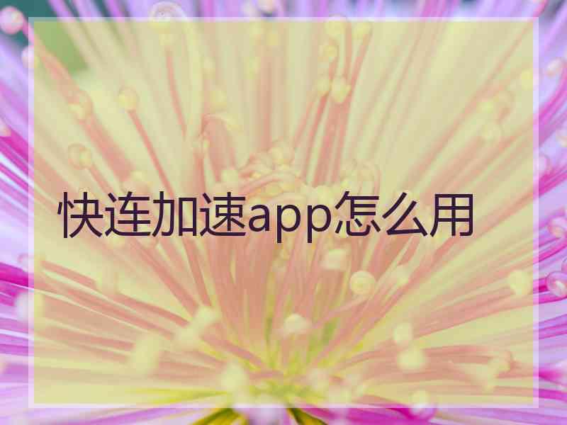 快连加速app怎么用