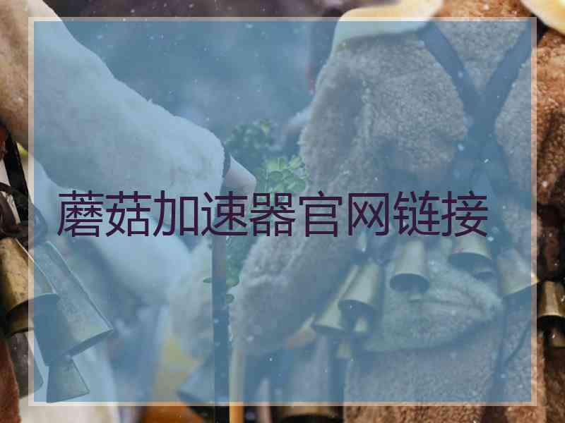 蘑菇加速器官网链接