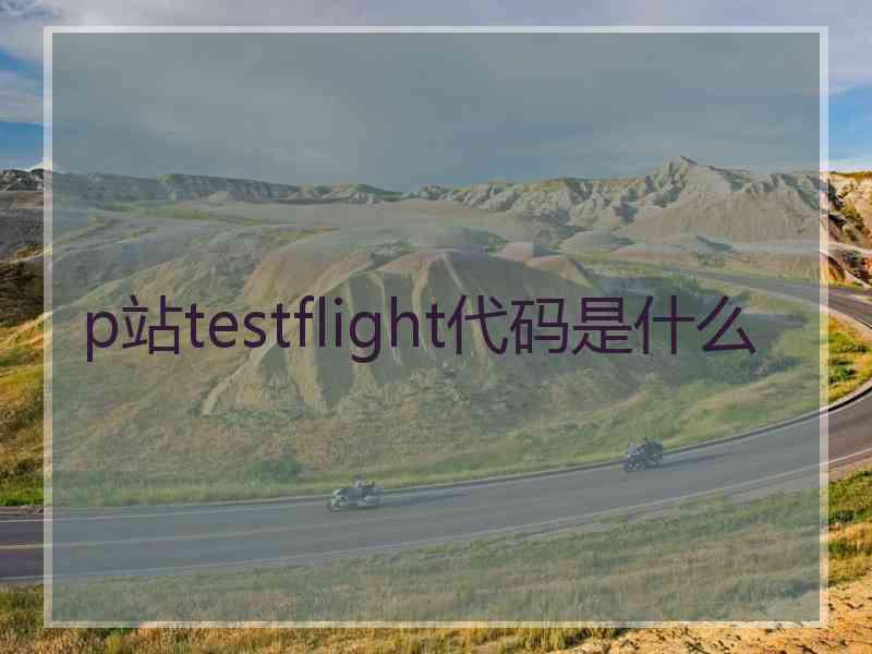 p站testflight代码是什么