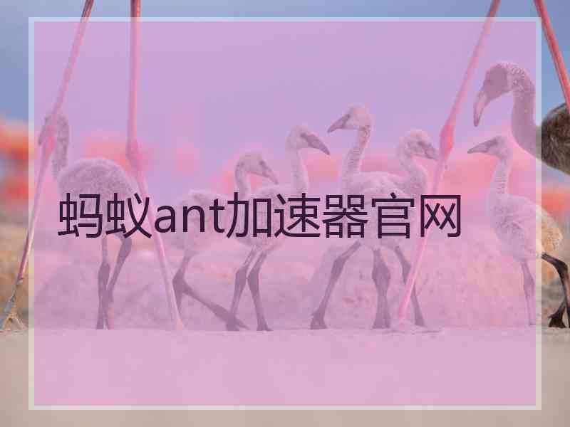 蚂蚁ant加速器官网