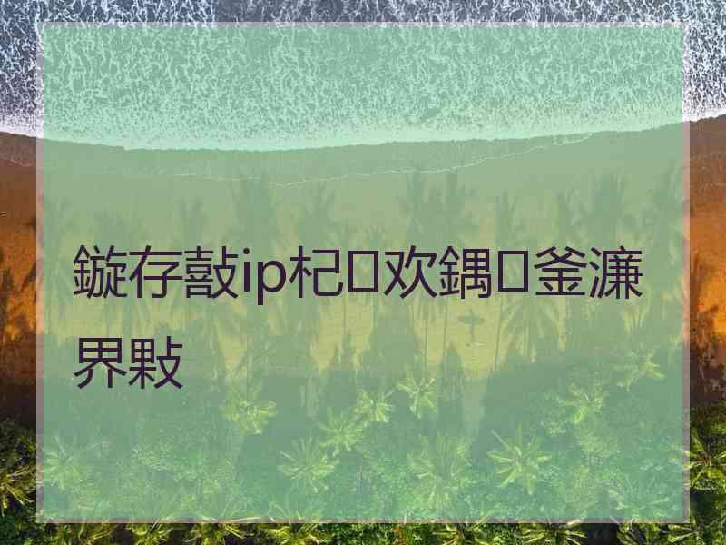 鏇存敼ip杞欢鍝釜濂界敤