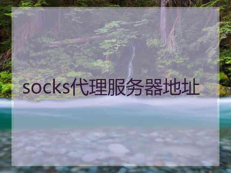 socks代理服务器地址