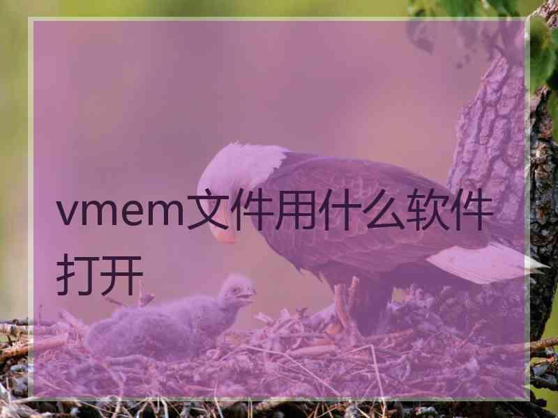 vmem文件用什么软件打开