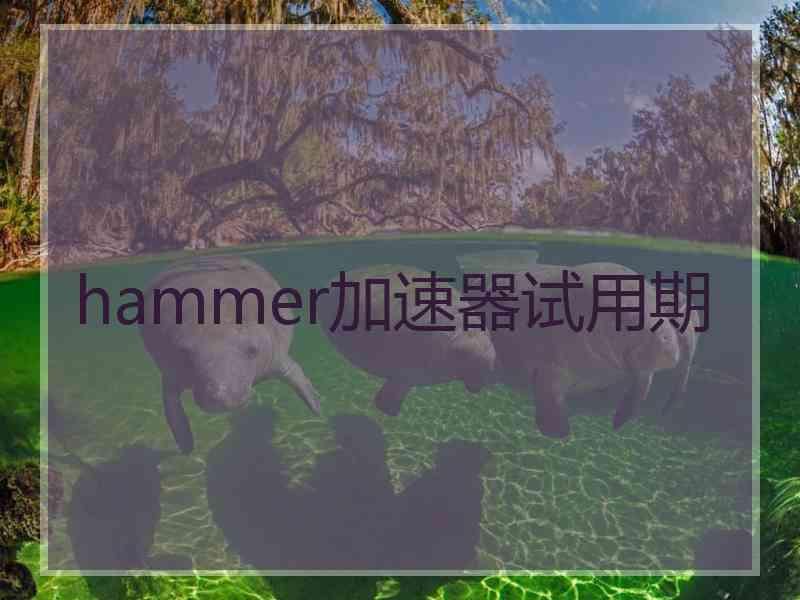 hammer加速器试用期