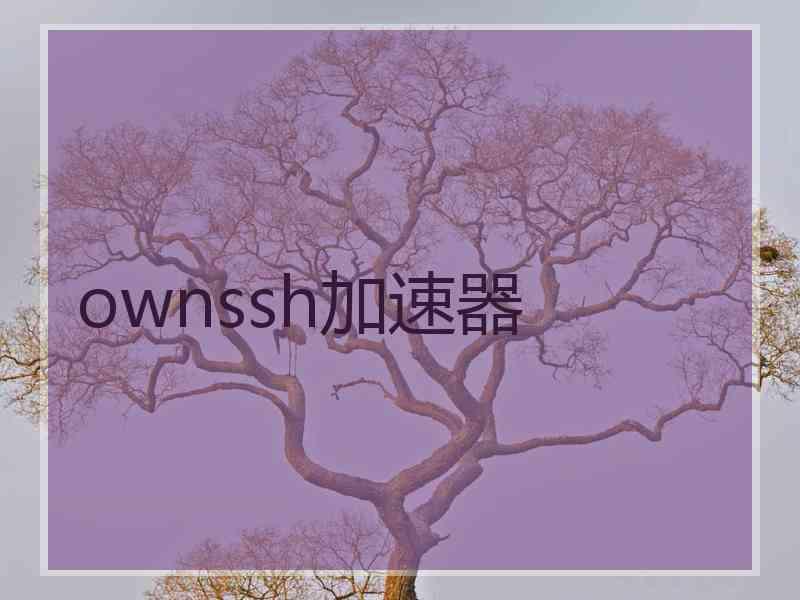 ownssh加速器