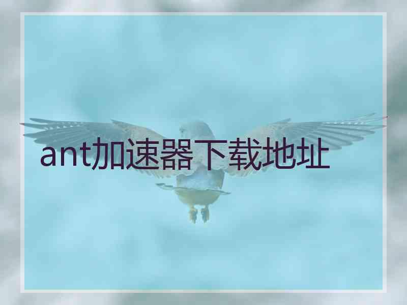 ant加速器下载地址