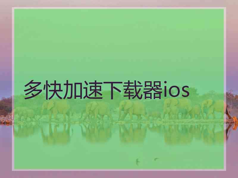 多快加速下载器ios