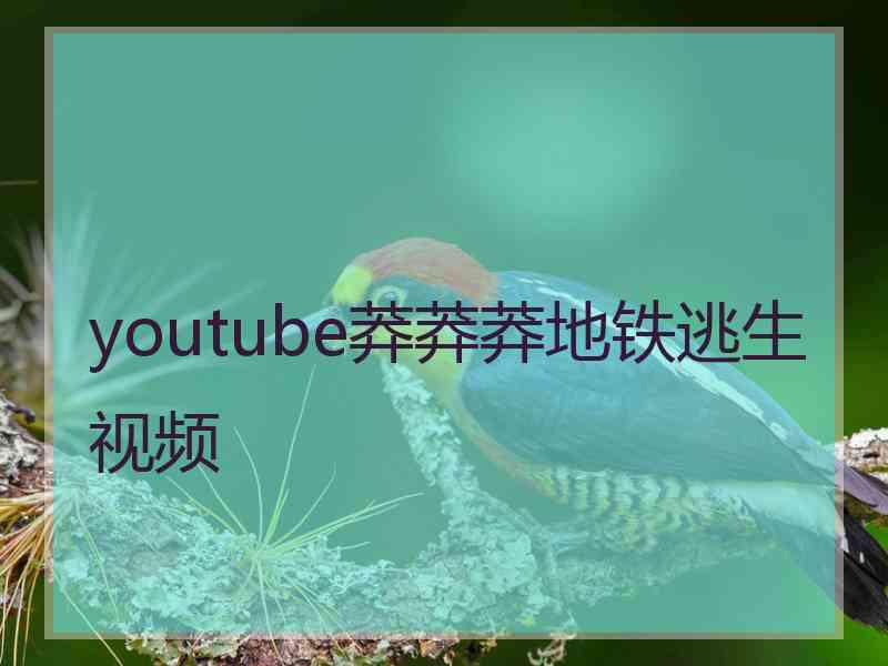 youtube莽莽莽地铁逃生视频