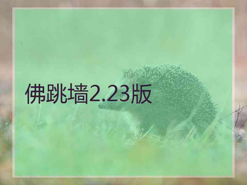 佛跳墙2.23版