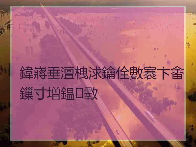 鍏嶈垂澶栧浗鑰佺數褰卞畬鏁寸増鎾斁