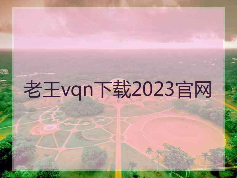 老王vqn下载2023官网