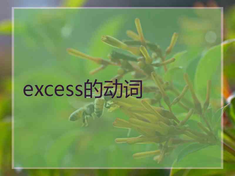 excess的动词