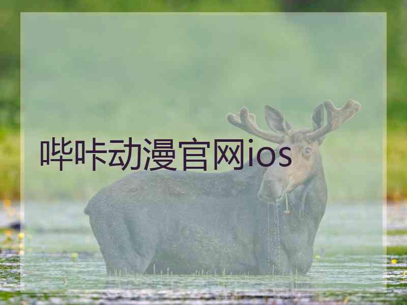 哔咔动漫官网ios