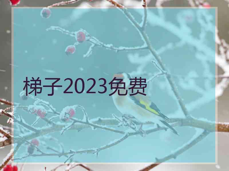 梯子2023免费