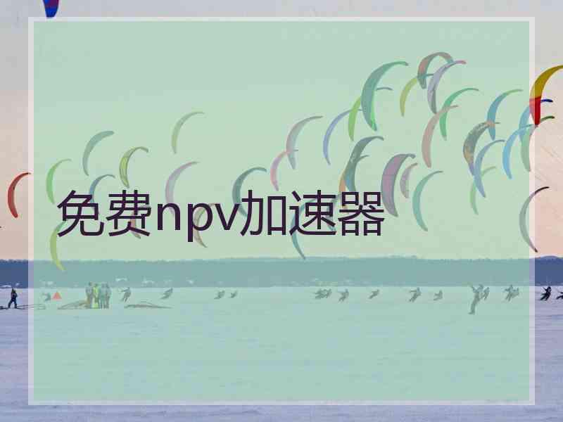 免费npv加速器