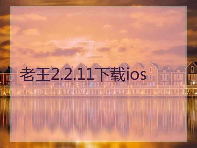 老王2.2.11下载ios