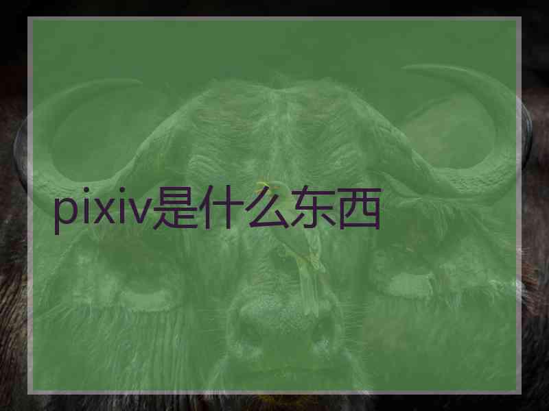 pixiv是什么东西