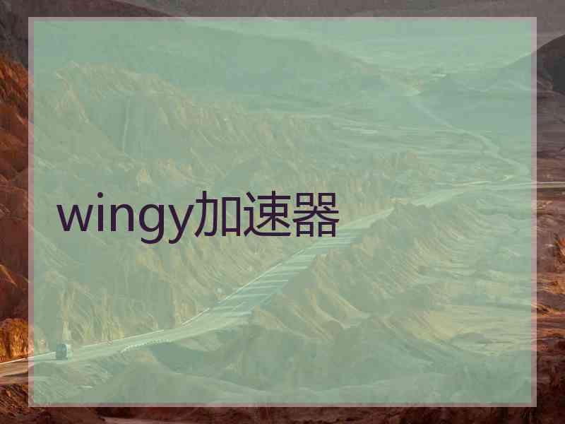 wingy加速器