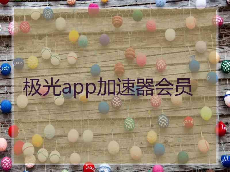 极光app加速器会员