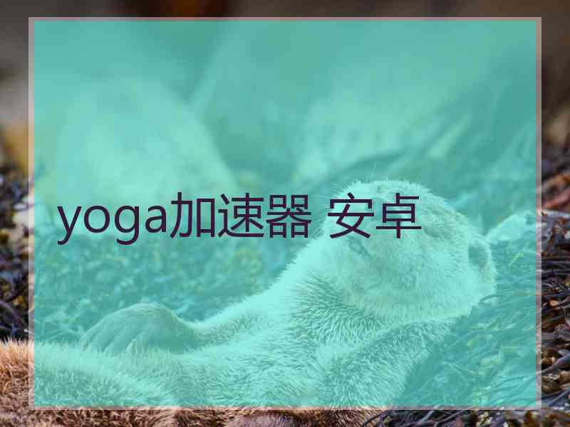 yoga加速器 安卓