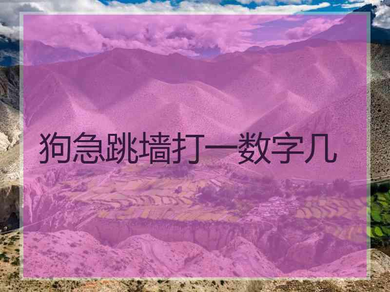 狗急跳墙打一数字几