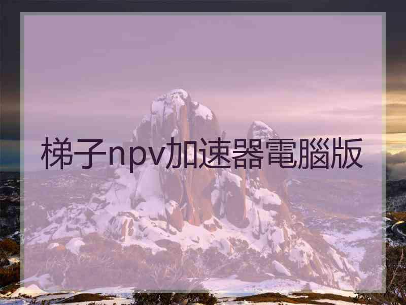 梯子npv加速器電腦版