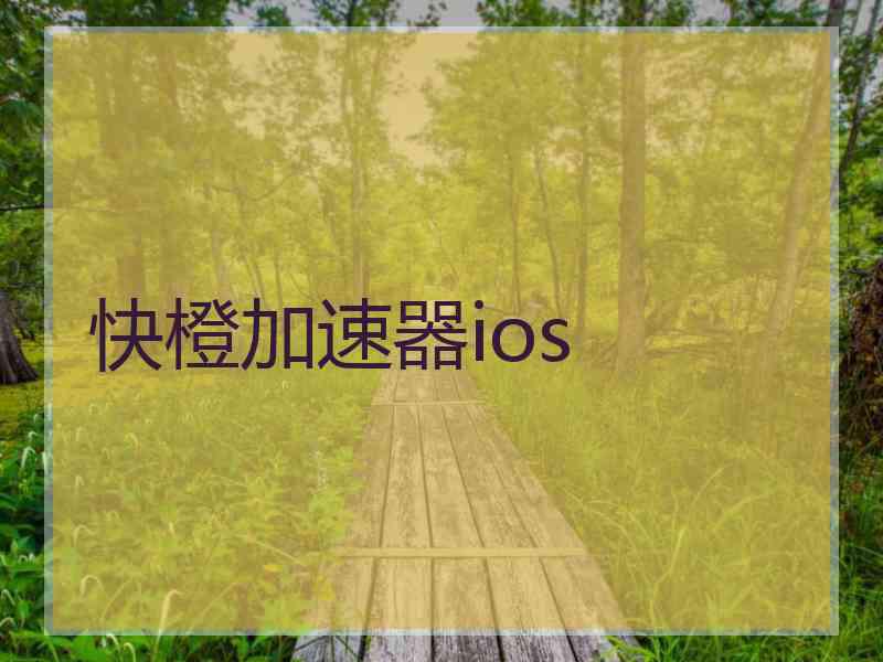 快橙加速器ios