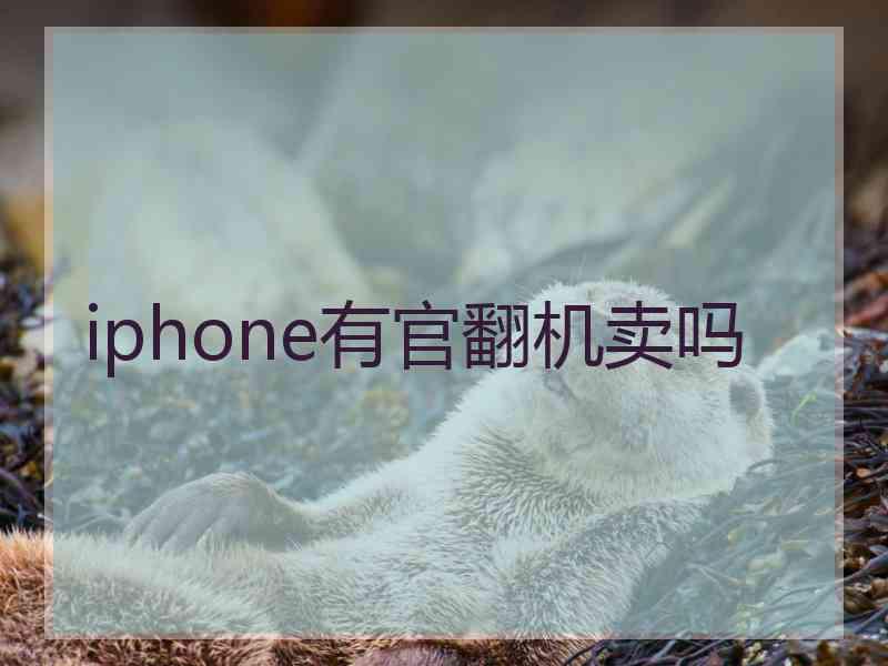 iphone有官翻机卖吗