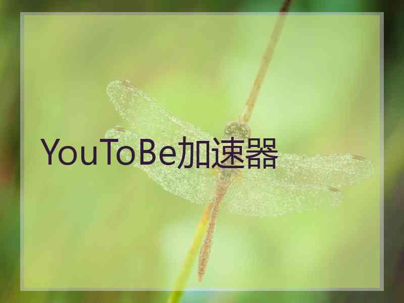 YouToBe加速器