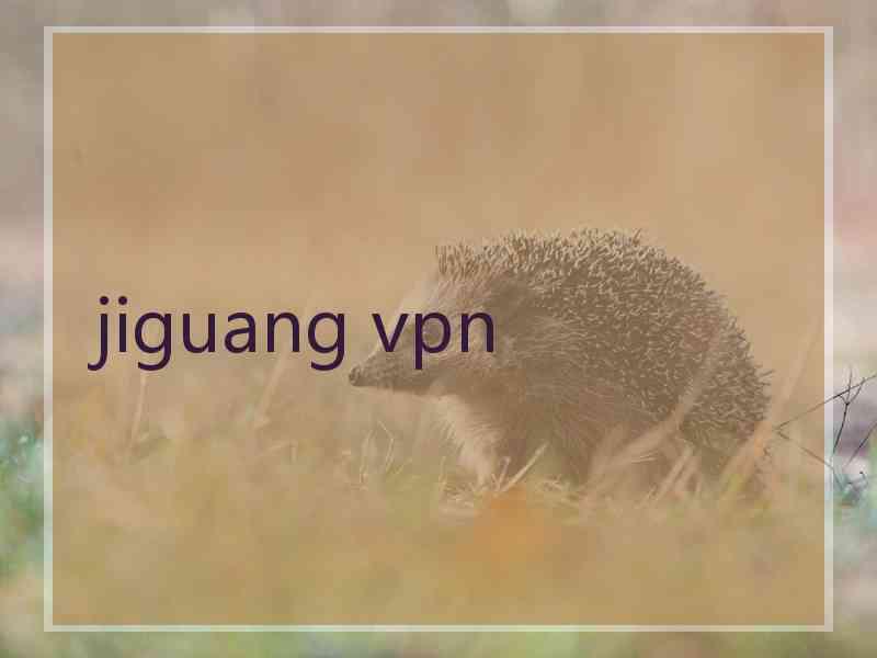 jiguang vpn